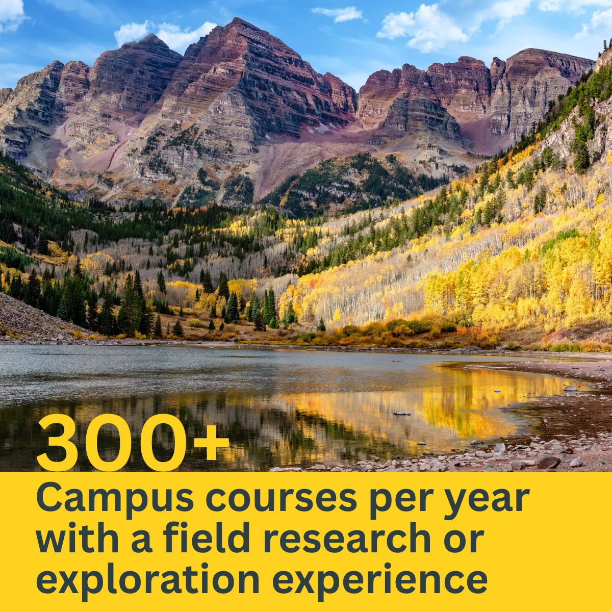 300+ Courses with Field Study