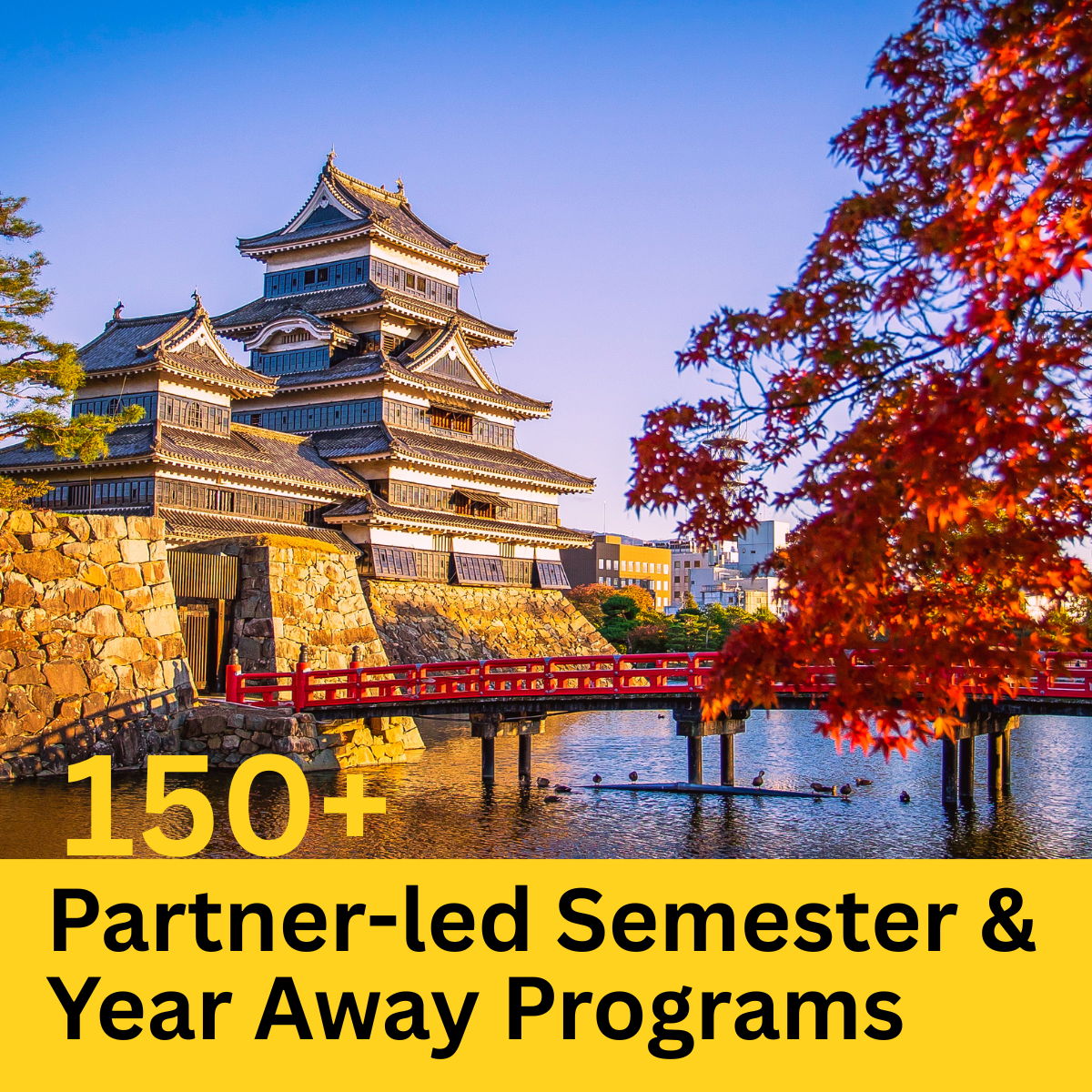 150+ Semester Away Options