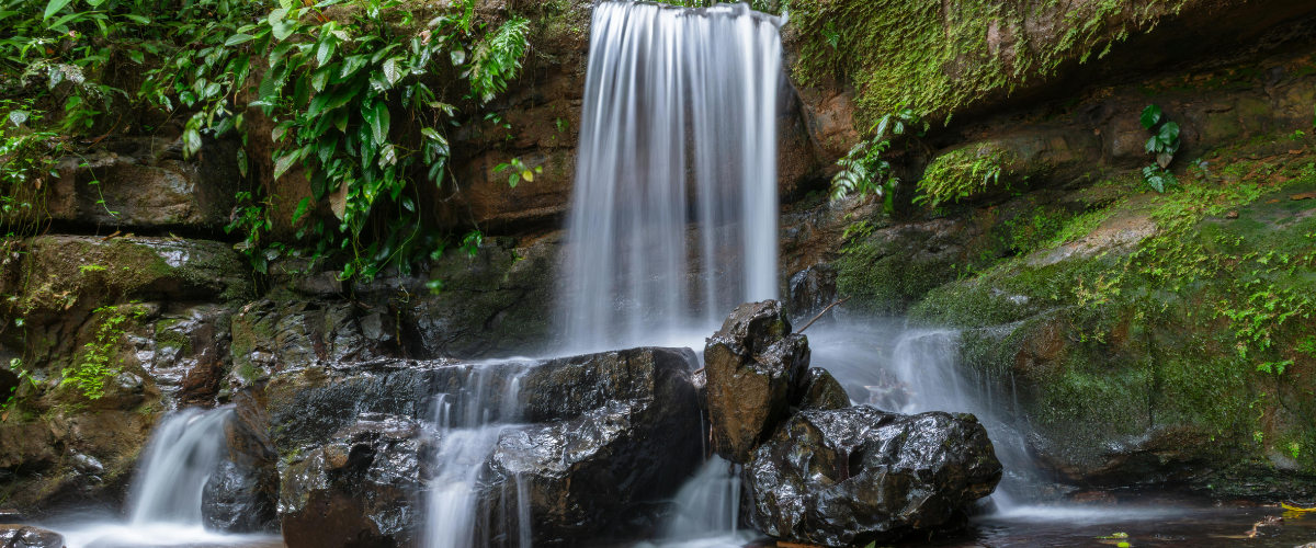 A forest waterfall