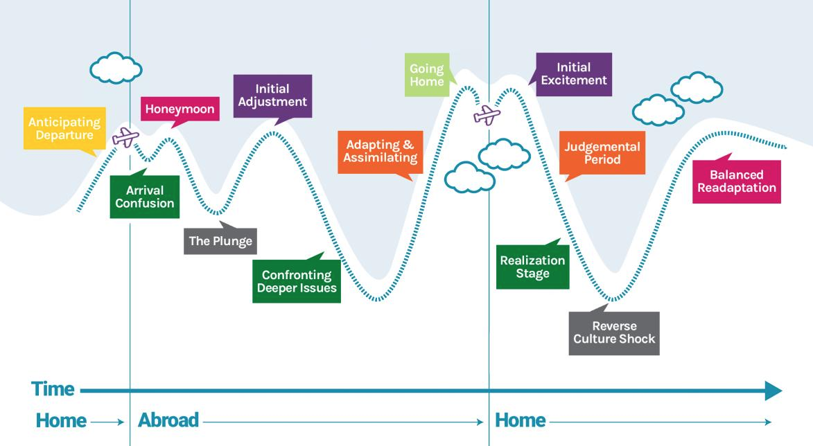 S-curve-of-adjustment.png