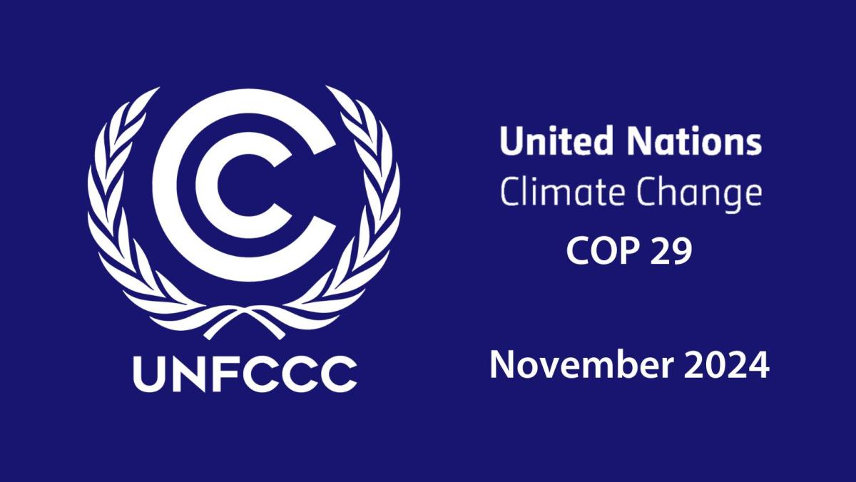 COP29.jpg