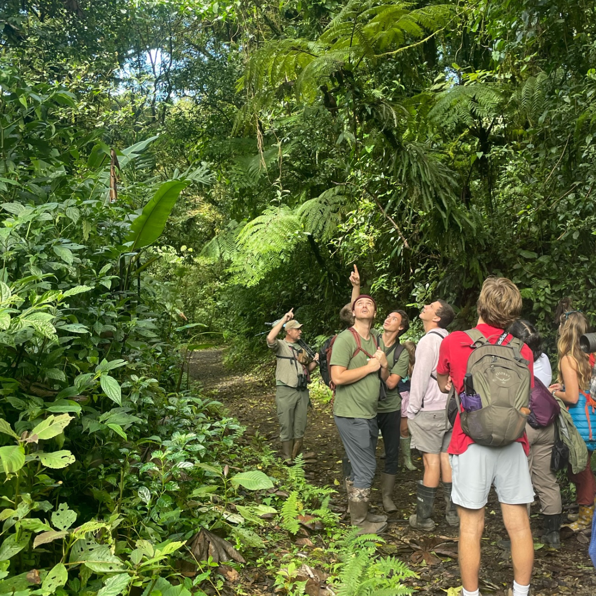 Students in the Costa Rican forest