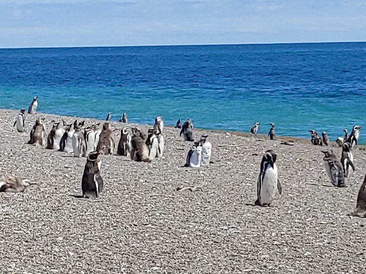 Student Group in Florence