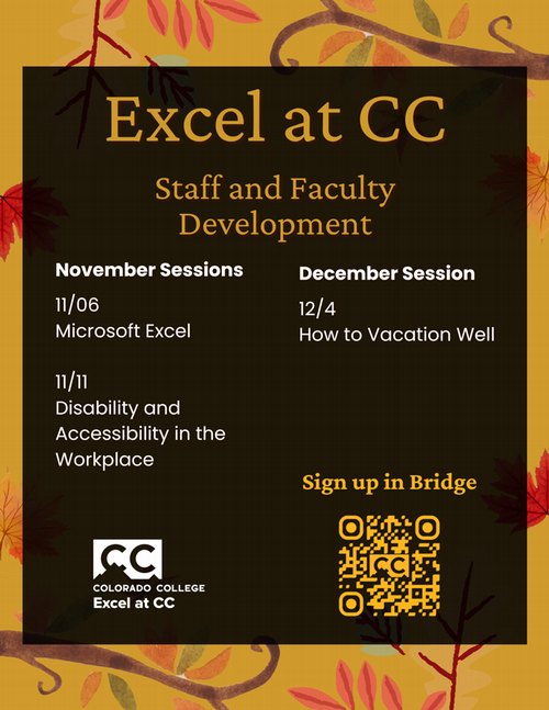 Flyer for November and December Excel at CC Sessions