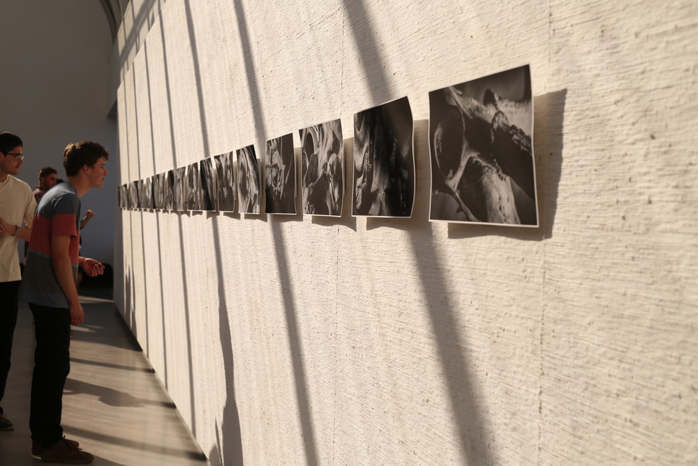 a student views a row of images for the senior art thesis