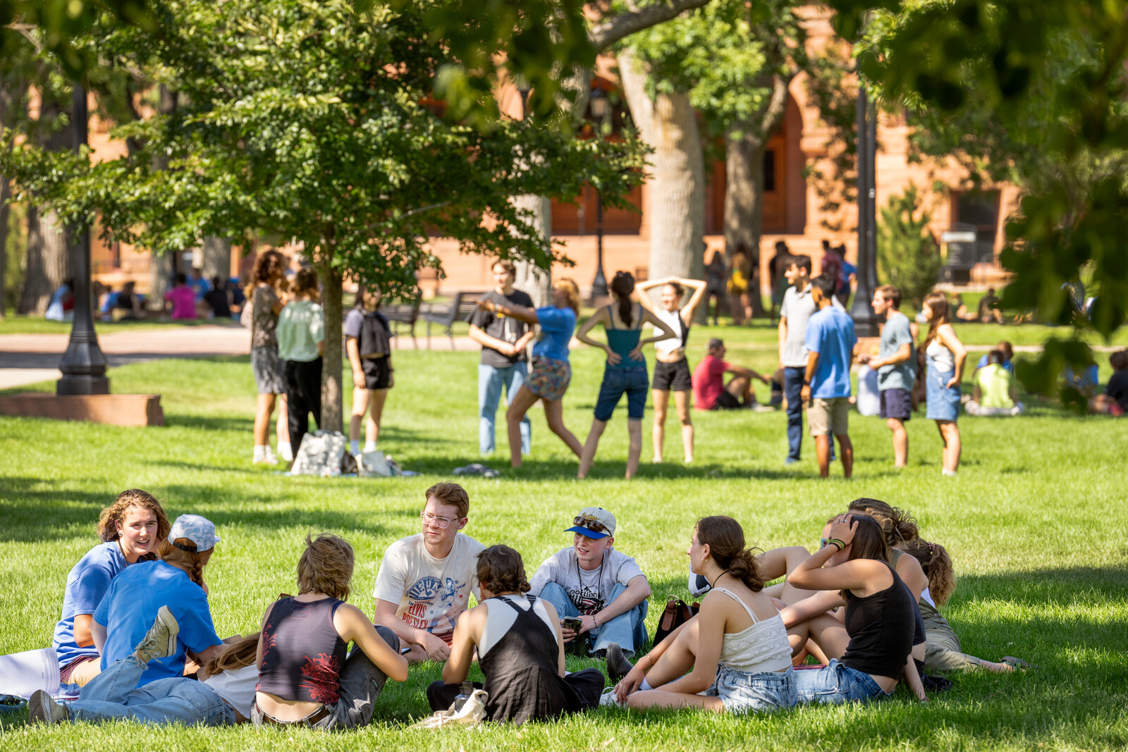 Arctic Fritillary group - WSO 2023