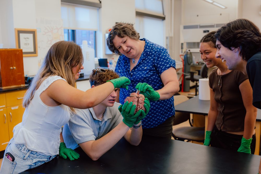 Students and an instructor examine a brain specimen in a laboratory.