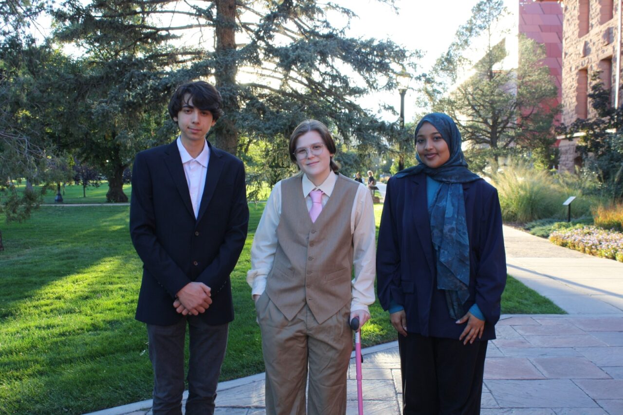 ADEI Committee