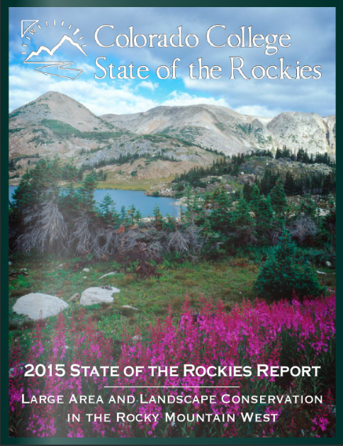2015-cover.png