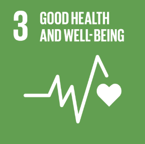 3 Health and Wellbeing