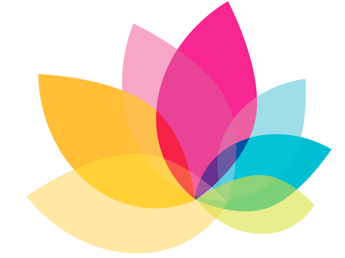 holistic model of wellness