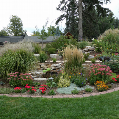 Board member Judy Sondermann's beautiful garden <span class="cc-gallery-credit"></span>