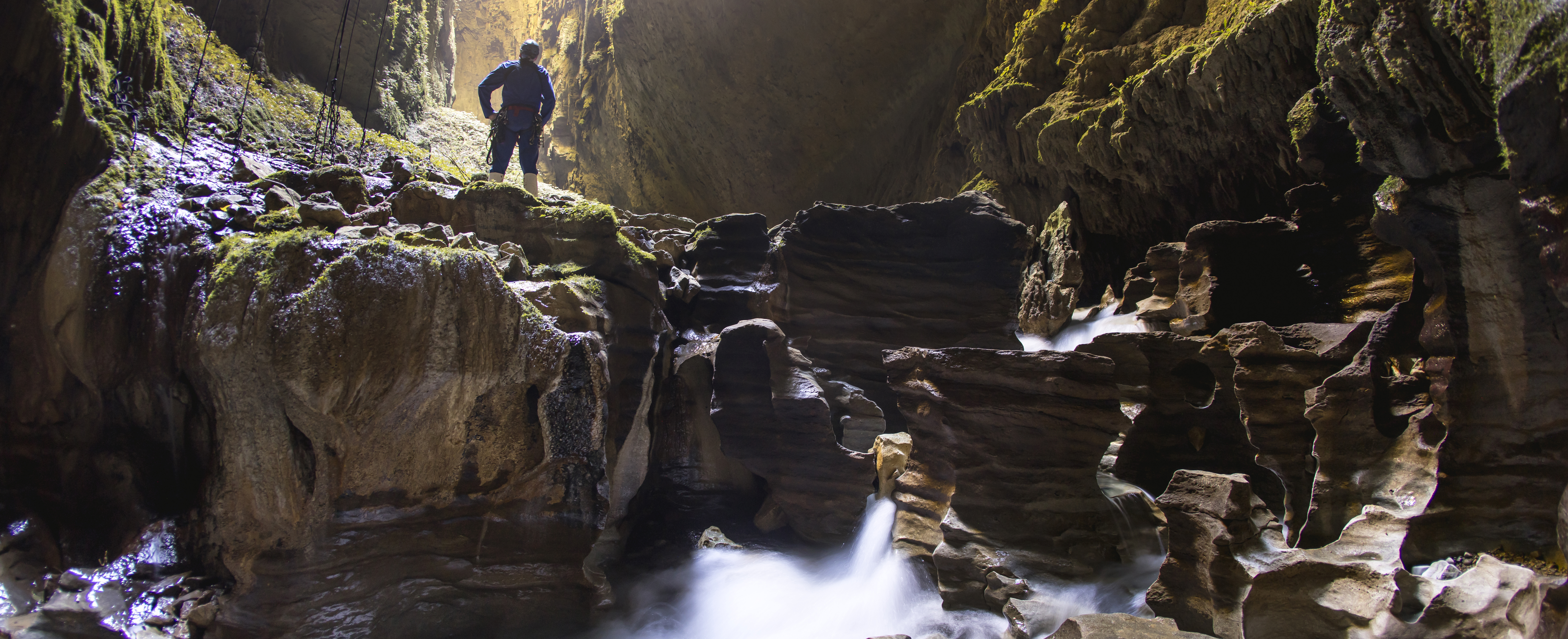 Waitomo-Caves-banner-Miles-Holden.jpg